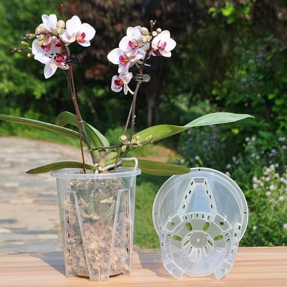 Plant Parent - プラスチック製の根制御透明植木鉢、通気性のある植栽ポット、気孔付き、美しい胡蝶蘭用ポット