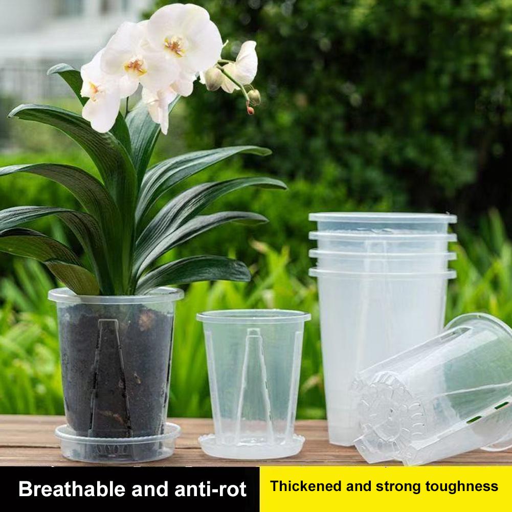 プラスチック製の根制御透明植木鉢、通気性のある植栽ポット、気 - Plant Parent のレビューと価格