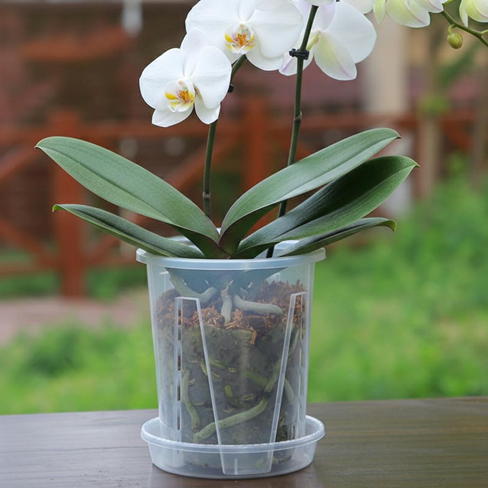 プラスチック製の根制御透明植木鉢、通気性のある植栽ポット、気 - Plant Parent のレビューと価格
