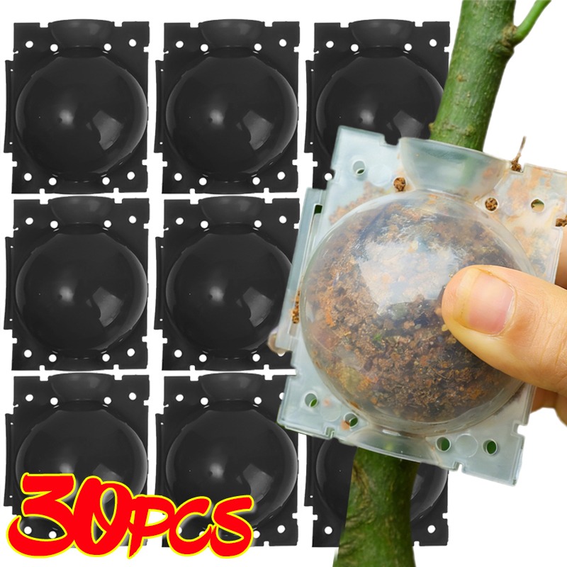 再利用可能な植物発根ボール接木ツール高圧植物根成長ボックス果 - Plant Parent のレビューと価格