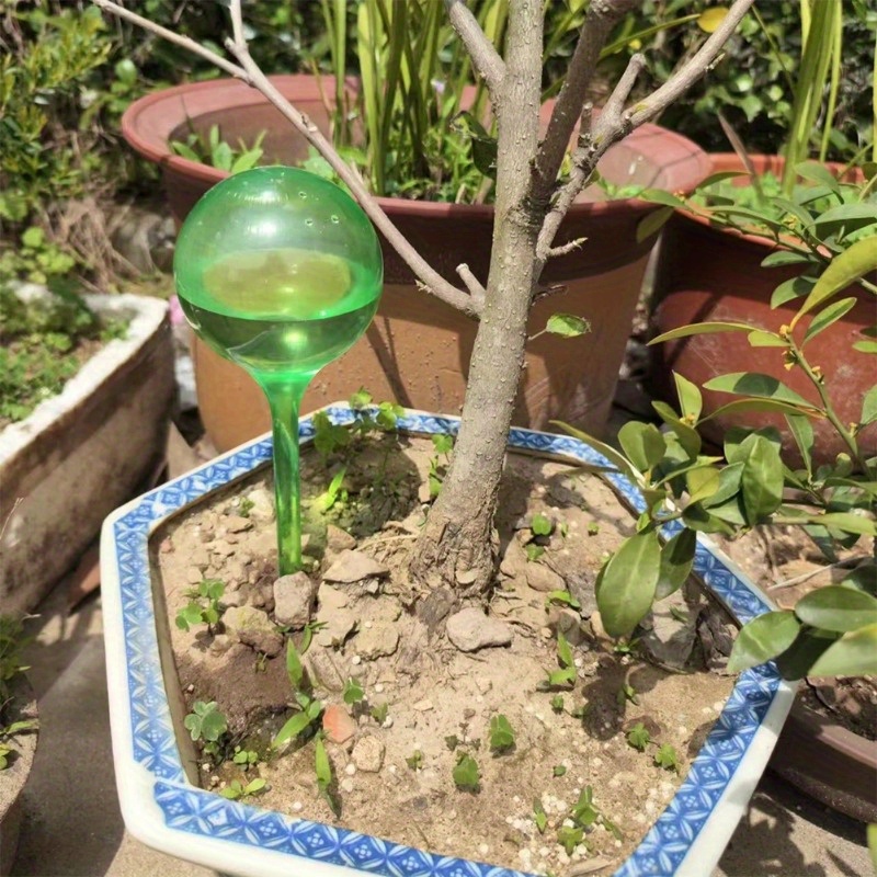 6個入り 室内植物用自動給水ボール 自動植物花水球 ドリップ - Plant Parent のレビューと価格
