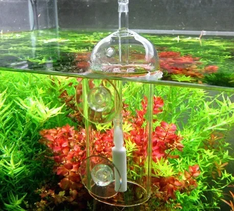 Viv do-魚や植物用の溶解酸素シリンダー、クリスタルガラ - Plant Parent のレビューと価格