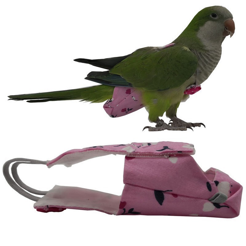 蝶ネクタイ付きオウム用おむつ キュートでカラフルなフルーツ柄 - Plant Parenthood のレビューと価格